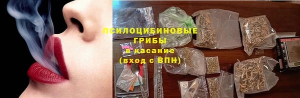 не бодяженный Заводоуковск