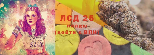 мдпв Кукмор