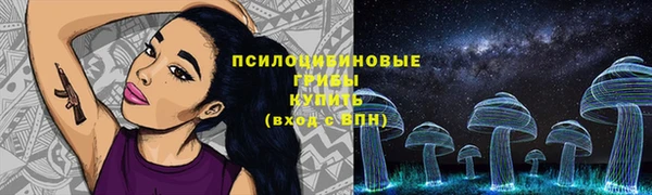 шишки Зерноград