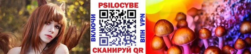 ОМГ ОМГ ТОР  Катайск  Галлюциногенные грибы мицелий 